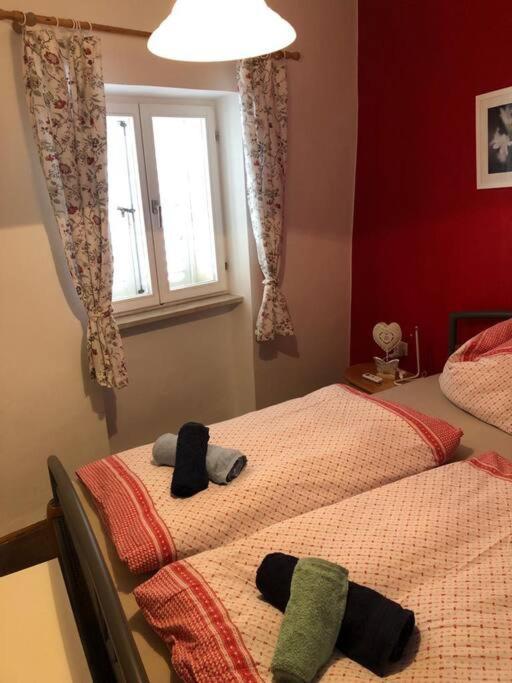 Apartament Tartini - Private Roof Terrace - Self Check-In Piran Zewnętrze zdjęcie